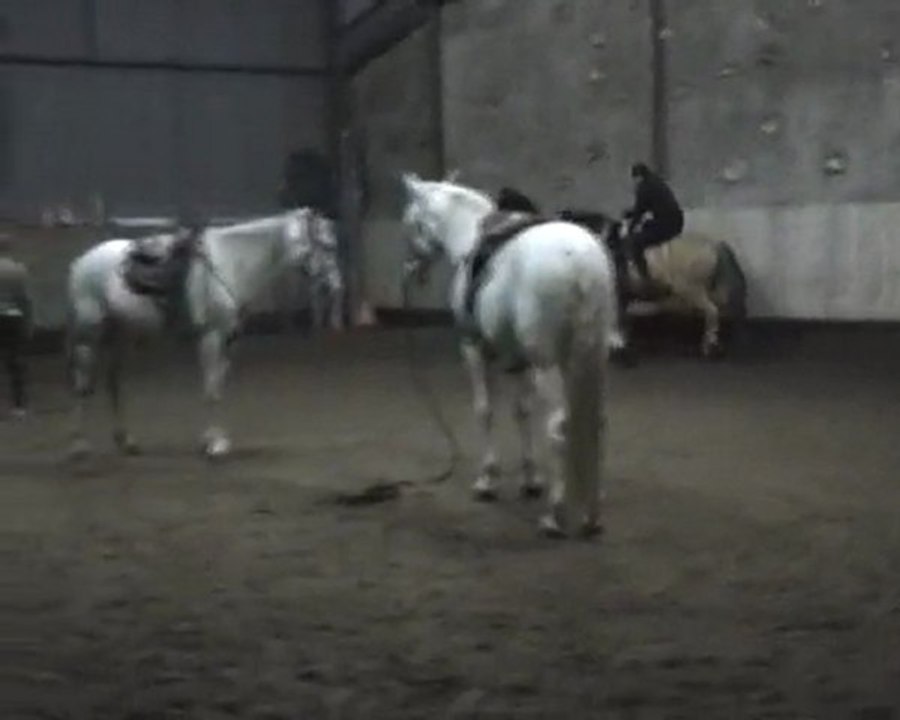 voltige cosaque en cercle