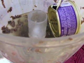 Food Processing Fancy Feast Cat Food in The Can in HD Wide S