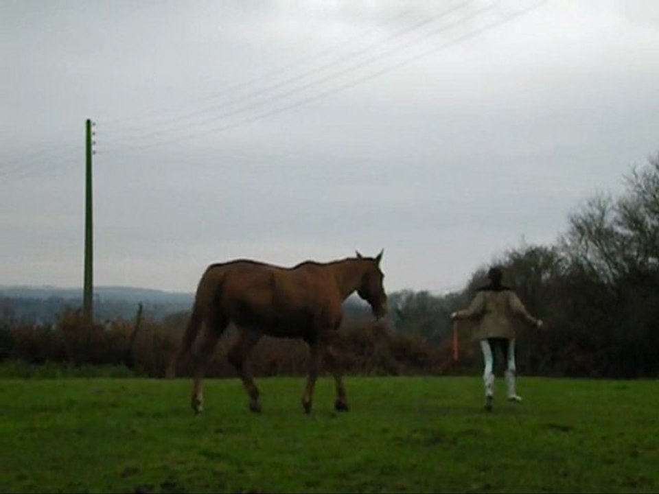 amimoza fleur 2ème seance de travail et deja bcp de progrès