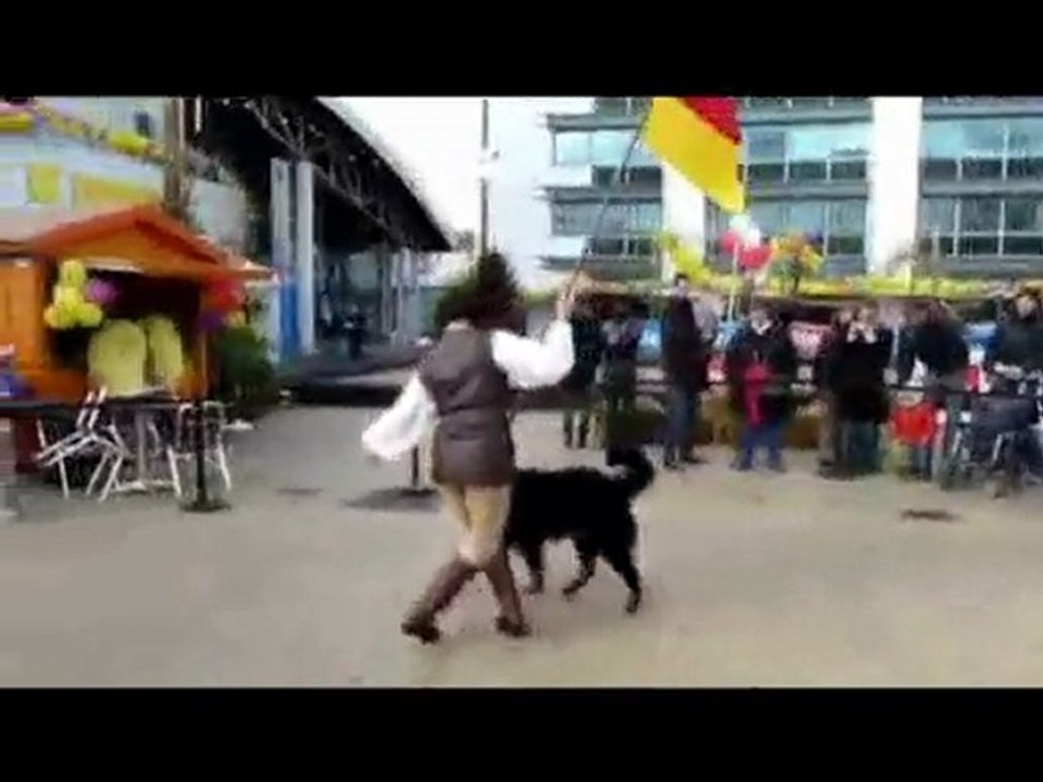 video telethon 2009 - danse chien terre neuve