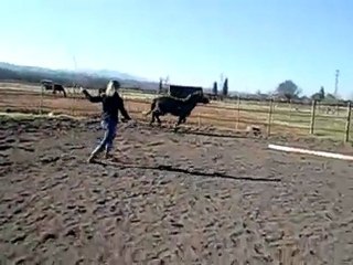 Siska saut liberté Déc. 2008