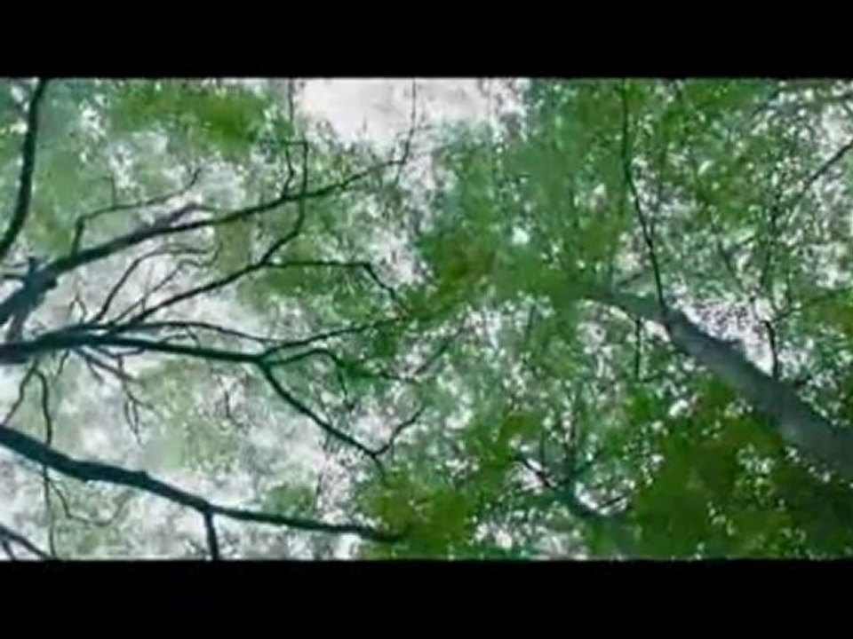 HD DH Trailer