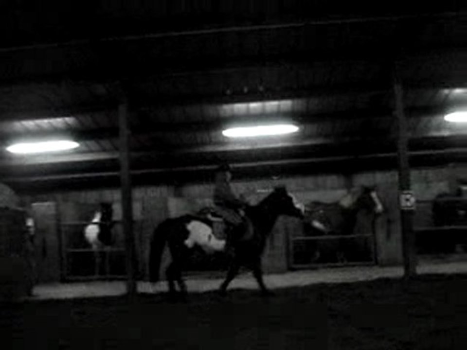 MOV08375