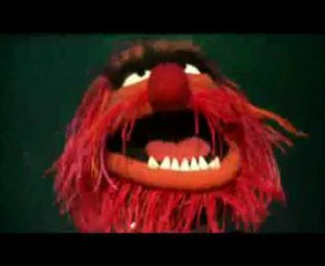 04 VIDEO POUM SEGUR 11dic09