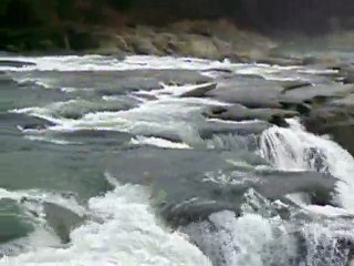 SAUT DE LA SAISSE /SUR L'AIN ./PONT de POITTE /JURA /