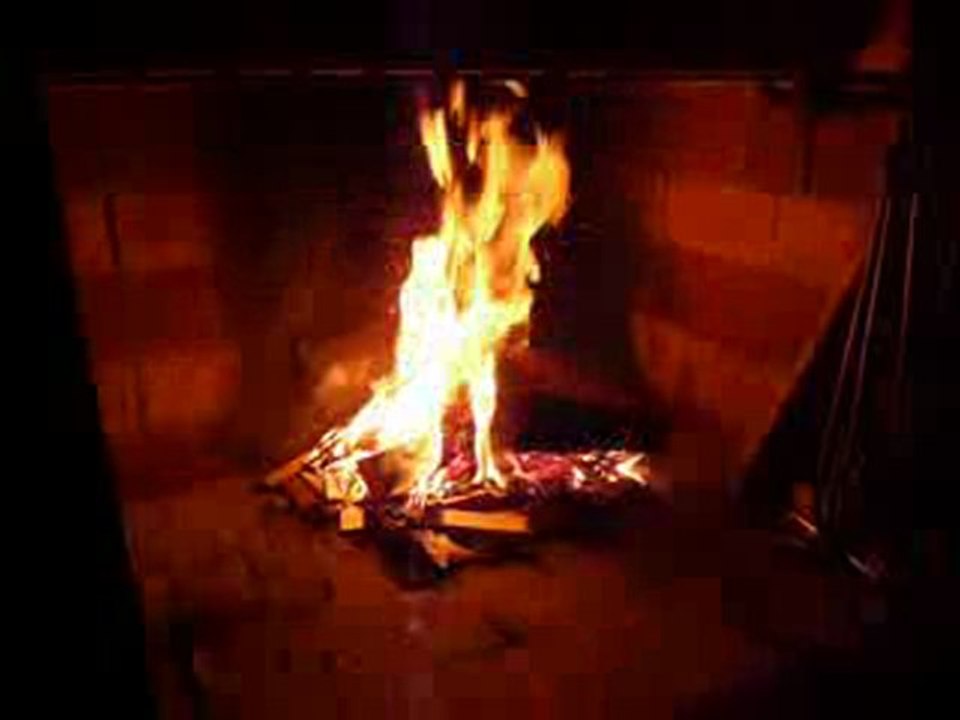 Feu de bois