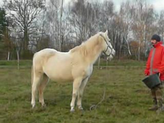 unitas 12 dec 2009