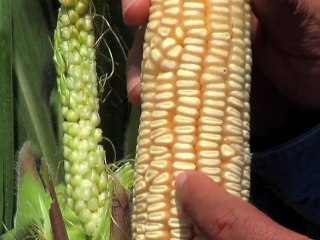 PMMM - Avances y Resultados