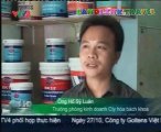 chương trình chào Việt Nam- Hello Vietnam program