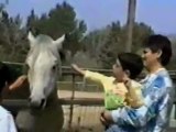 un cheval mord un enfant  au visage:)