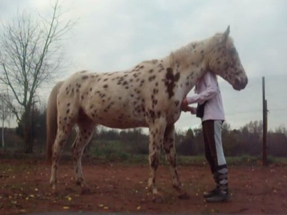 DSCF1330