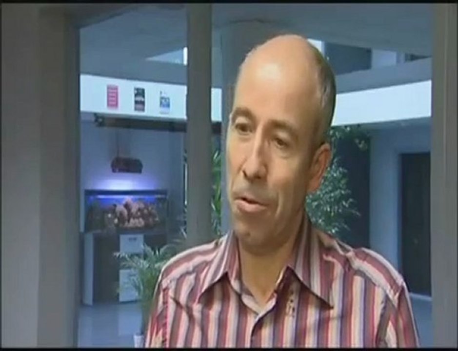 Reportage Alliances_NORSYS