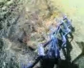 3085 6lı 12inç tümosan 5li 11inç ile çift sürüyor.