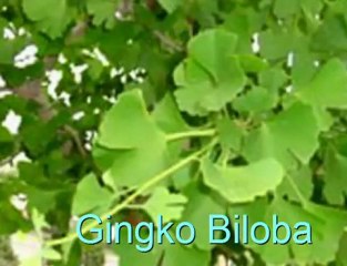 How VigRX Plus Helps Overcome Stress and Increases Male Libi