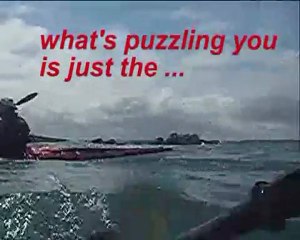 Fox and 2 sea kayakers