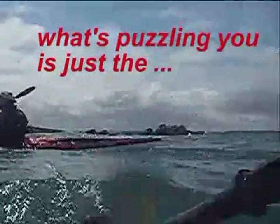 Fox and 2 sea kayakers