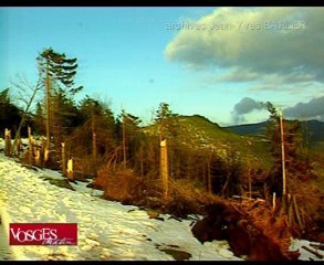 La tempête dans les Vosges, il y a dix ans