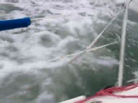 Pogo 8.50 - Epsilon 3D - Par 15 noeuds au près