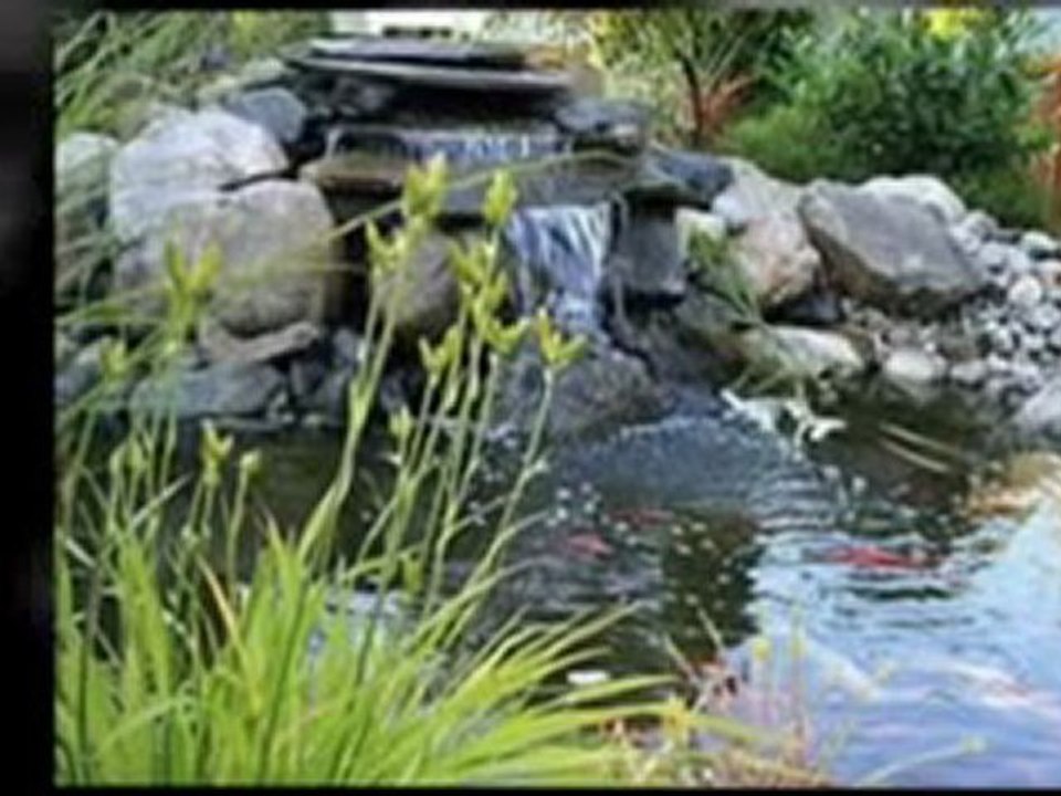 Rent To Own Homes Available in Charleston SC