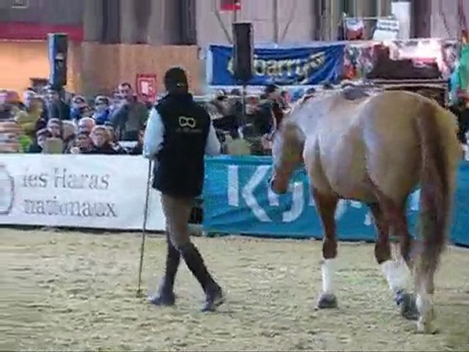Andy Booth, Salon du Cheval 2009