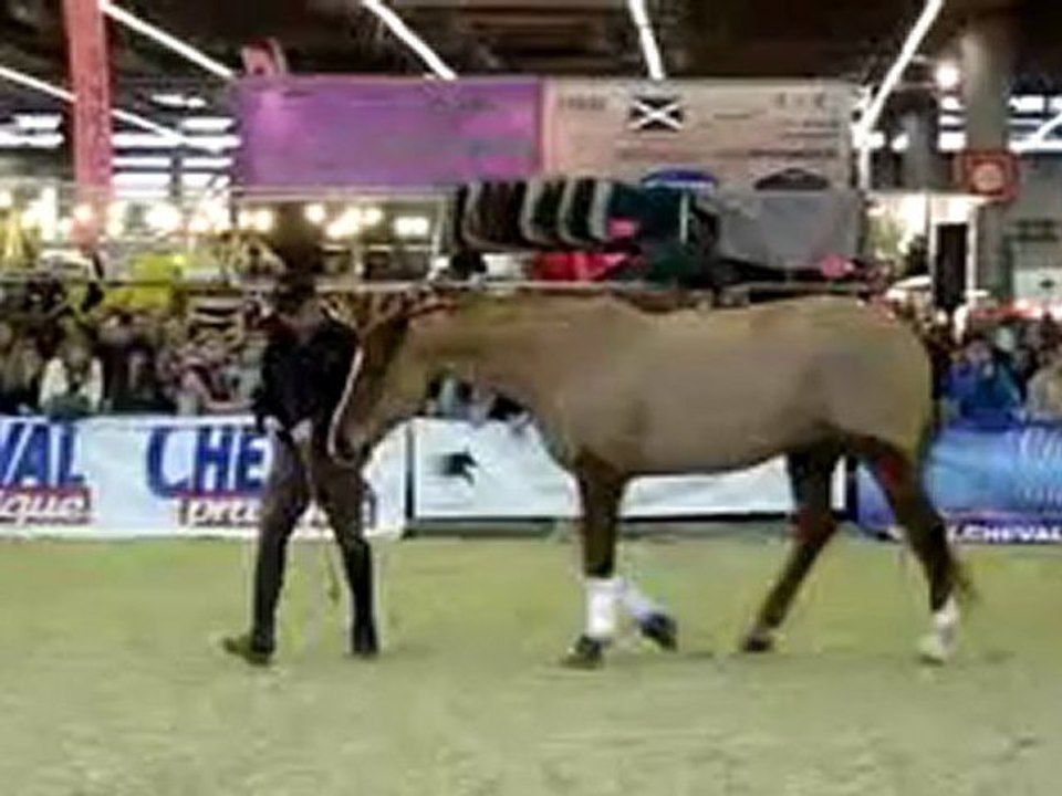 Andy Booth au Salon du cheval 2009