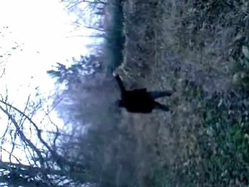 Test de 2 des armes à blanc.