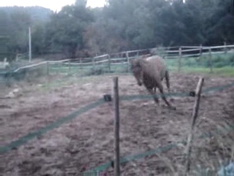 unuendo
