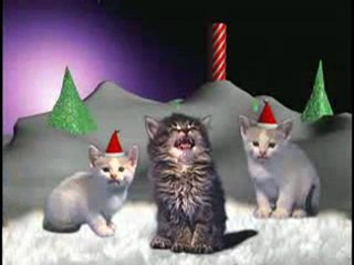 3 chats chantent Noël : Merry Christmas !