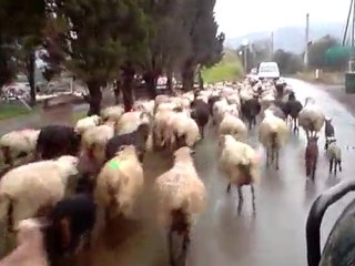 frontera sentier flaques