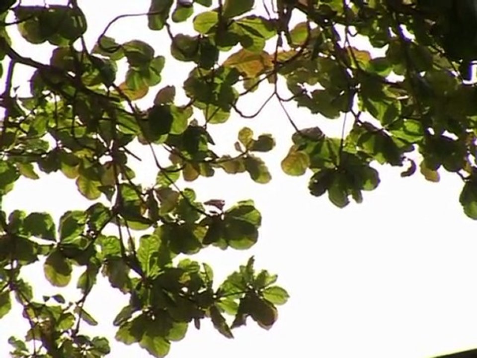 Reportage sur les infections sexuellement transmissibles