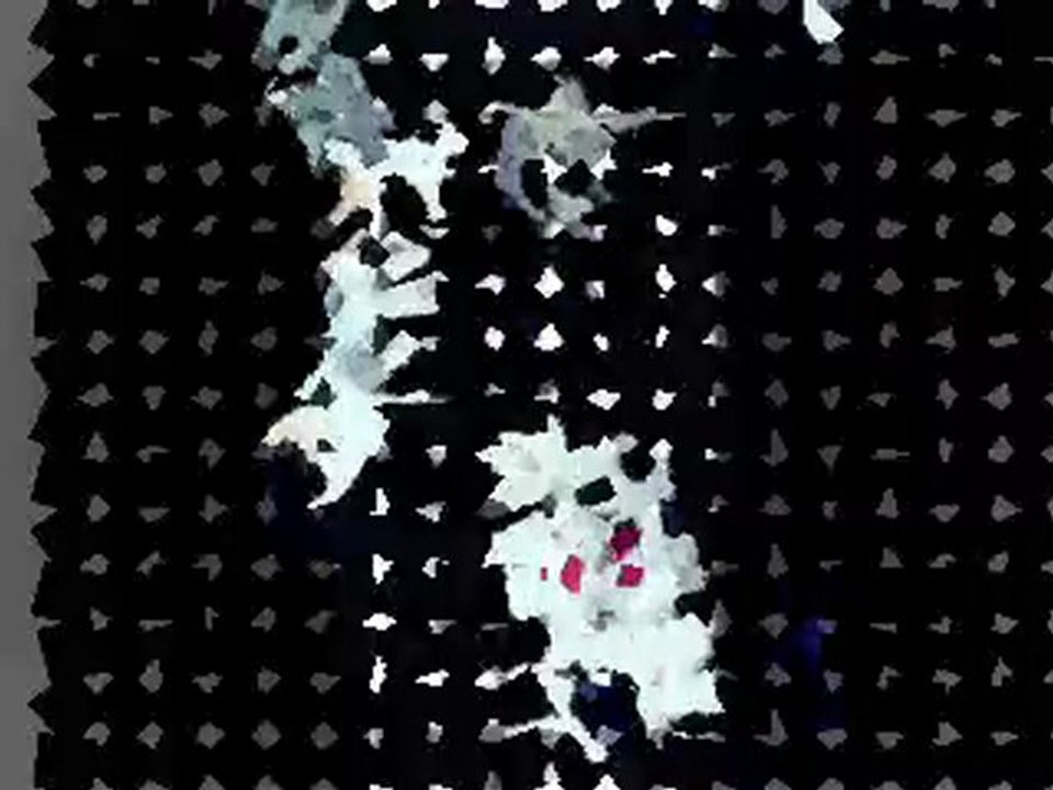 VII Bientot des anges