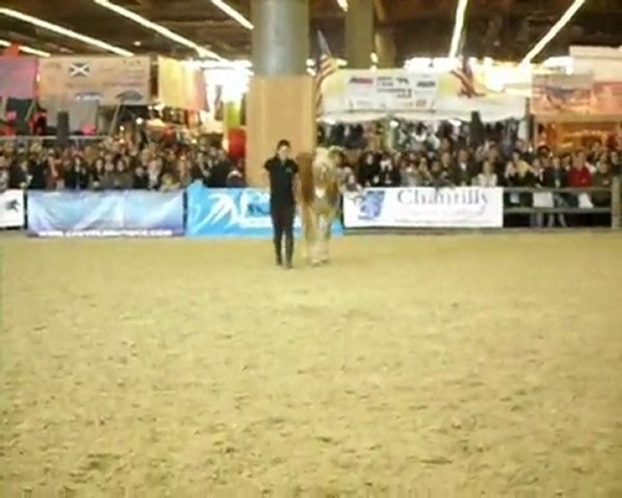 Pauline et Naiade salon du cheval 2009. Travail au Sol 1