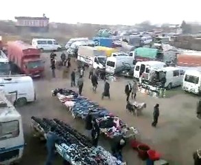 Yaylak Beldesi Hayvan Pazari