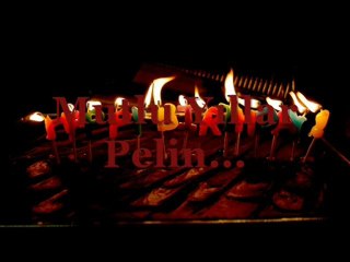 Dogum Gunun Kutlu Olsun Pelin..