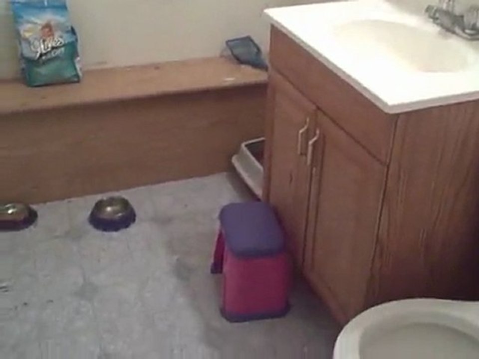 Chicago Cash Flow Property: 4 Bedroom SFH in Chatham