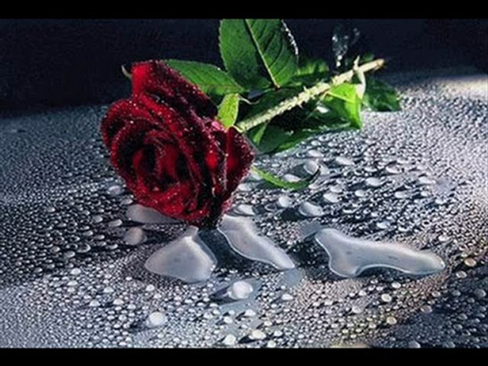 NUMAN HADİ  UNUT BENİ CAN