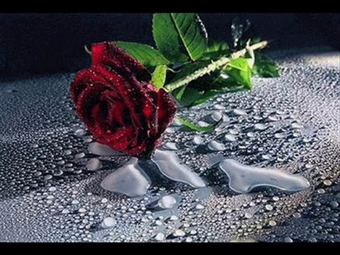 NUMAN HADİ UNUT BENİ CAN