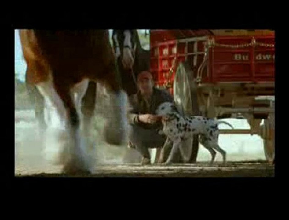 Une pub Budweiser pour le Superbowl