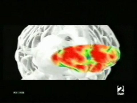 Efectos negativos del estres