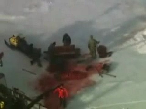 Polémique sur la chasse aux phoques (vidéo)
