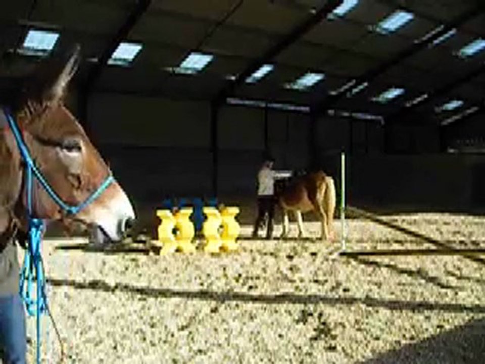 amusement à pied
