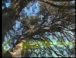 Línea Directa 2ª Parte (17.01.09).