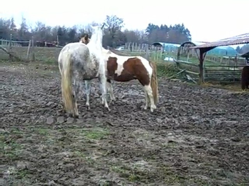 paso et mister reconnaissance apres 7mois de s etre pas vu