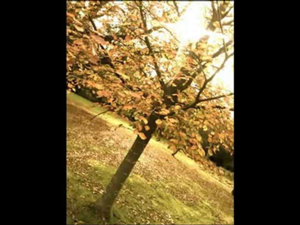 Seen This Place Before - Bo Bruce