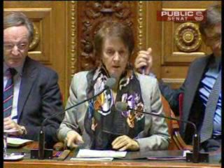 Pataquès au Sénat lors d'un vote