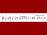 The Twelve Days Of Christmas, soprano recorder sheet music