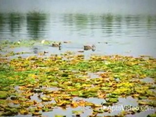 Landing at Angle Lake Apartments in Seatac, WA-ForRent.com
