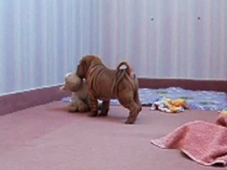 EIFFEL EXELMANS DES MING WAY