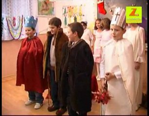 serb crac cehsil