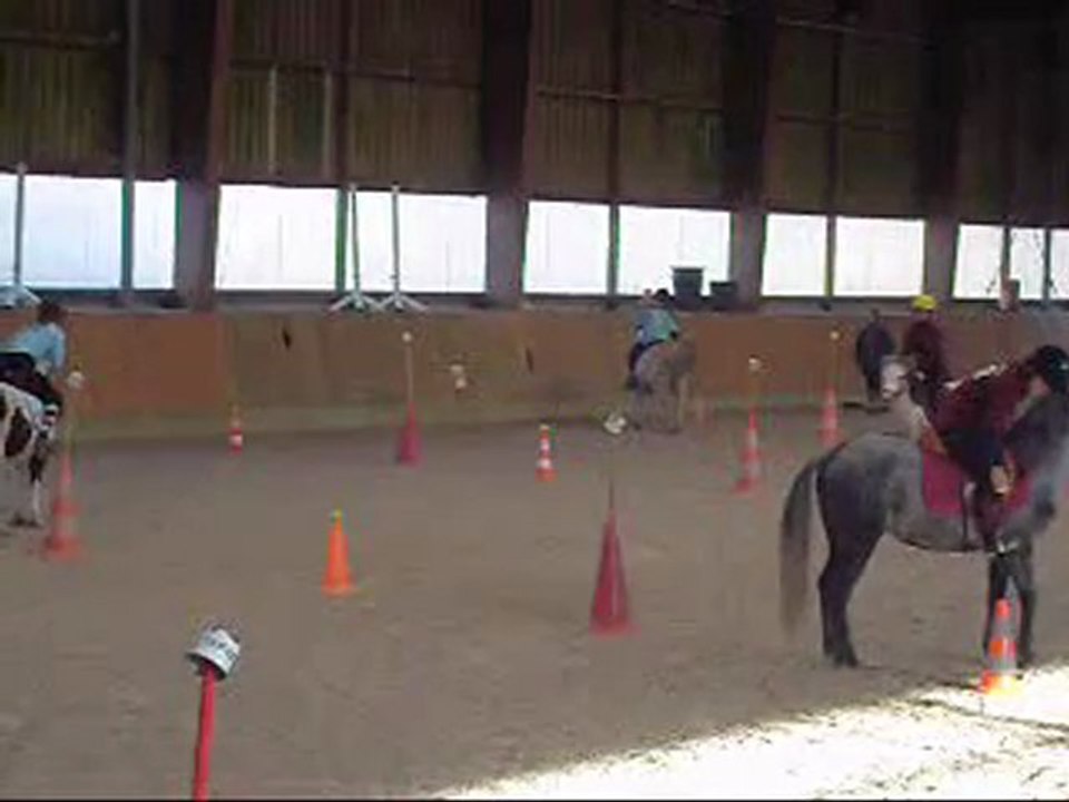 teksab 13 decembre pony games